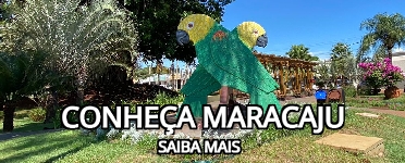 Banner publicidade-