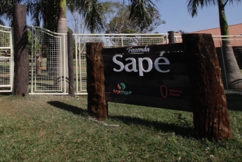 Turismo sape-agro